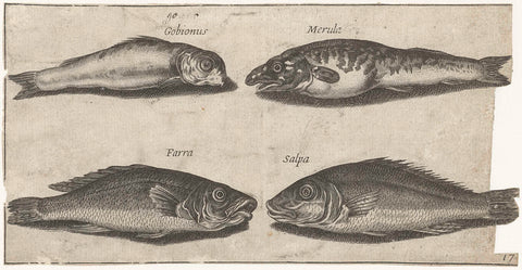 Goblet, buckfish, whiting and another fish, Pierre Firens, 1600 - 1638 Canvas Print