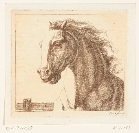 Horse head, Ernst Willem Jan Bagelaar, 1798 - 1837 Canvas Print