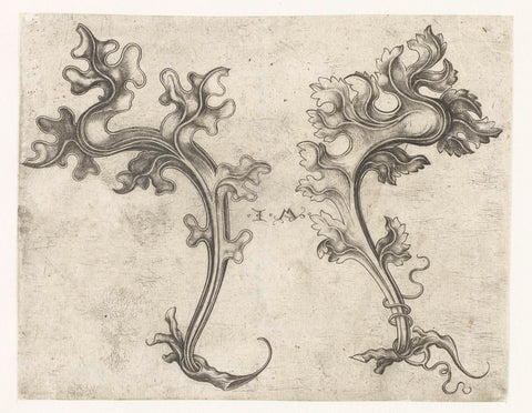 Two leaf motifs, Israhel van Meckenem, 1455 - 1503 Canvas Print