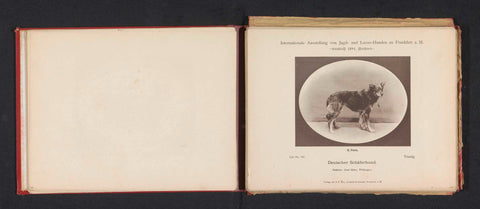 German Shepherd Trutzig who won a second prize at the International Ausstellung von Jagd und Luxus Hunden in 1891, anonymous, 1891 Canvas Print