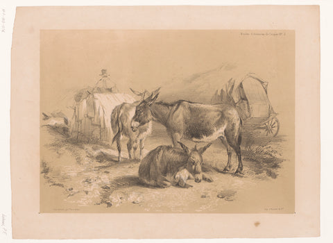 Study of three donkeys, Pierre Frédéric Lehnert, 1838 - 1840 Canvas Print