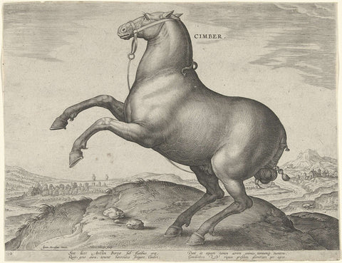 Horse from Scythia, Hieronymus Wierix, c. 1583 - c. 1587 Canvas Print