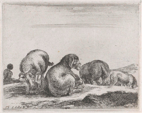 Sheep and rams, Stefano della Bella, 1620 - 1664 Canvas Print