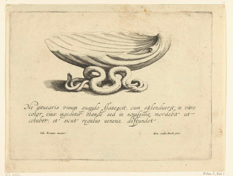 Shell-shaped shell on a foot formed by a snake, Hendrik van der Borcht (II), c. 1614 - 1654 Canvas Print