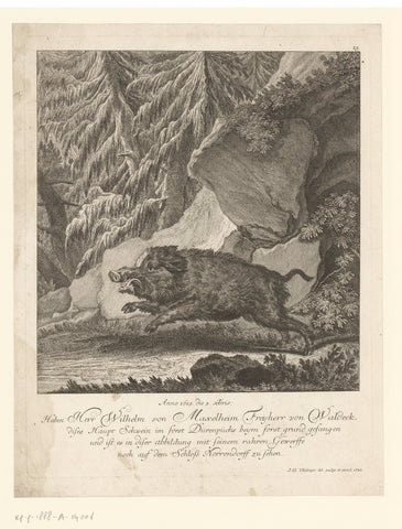 Special wild boar, Johann Elias Ridinger, 1742 Canvas Print