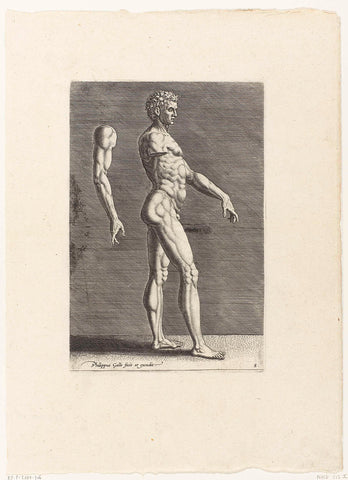 Nude man, walking to the right, Philips Galle, 1589 Canvas Print