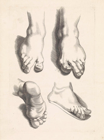 Studies of feet, Paulus Pontius, 1616 - 1657 Canvas Print