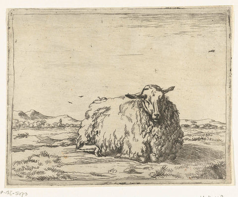 Resting sheep, seen from the front, Marcus de Bye, 1657 Canvas Print