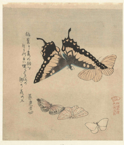 Five butterflies, Kubota Shunman, c. 1890 - c. 1900 Canvas Print