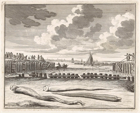 Pileworms affecting the dikebeschoeiingen, 1731, Abraham Zeeman, 1731 - 1733 Canvas Print