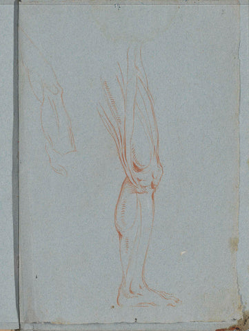 Muscles of an upper leg, Lorenzo Baldissera Tiepolo (circle of), c. 1751 Canvas Print