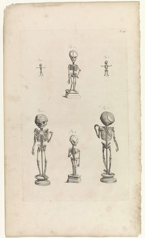 Anatomische studies van de skeletten van foetussen, Pieter van Gunst, 1685 Canvas Print