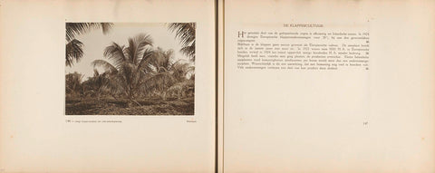 Pages 146 and 147 of photo book of the Algemeene Vereeniging of Rubber Planters on the East Coast of Sumatra (AVROS), JW Meyster, c. 1924 - c. 1925 Canvas Print