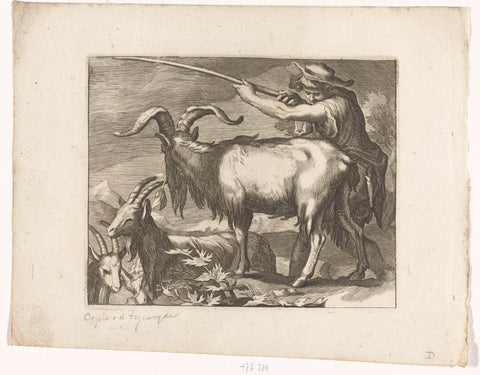 Goat herder and goats, Boëtius Adamsz. Bolswert, 1611-1661 Canvas Print