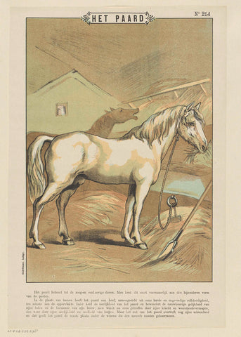 The horse, Gordinne, 1894 - 1959 Canvas Print