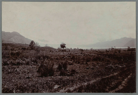 View of the lake, anonymous, 1903 - 1913 Canvas Print