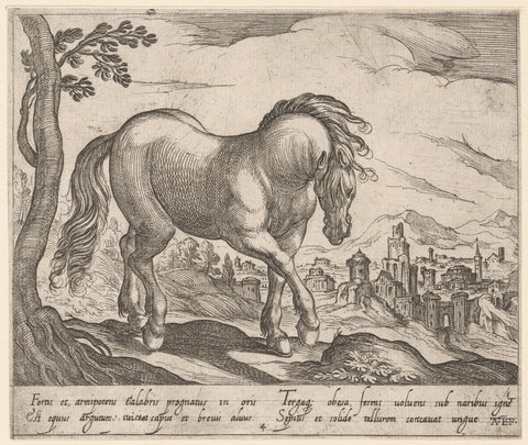 Standing horse accustomed to the right, with head down to spectator, Antonio Tempesta, 1590 Canvas Print