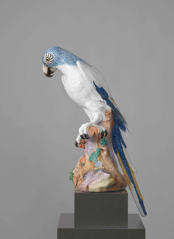 Blue Macaw, Meissener Porzellan Manufaktur, 1731 Canvas Print