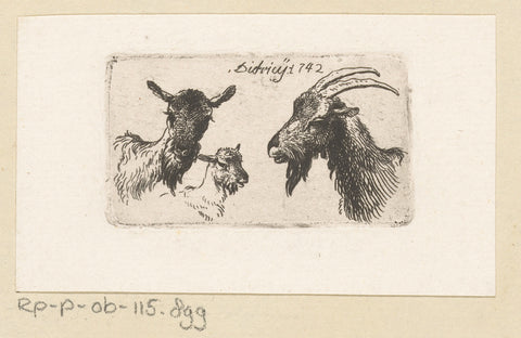 Three Goats, Christian Wilhelm Ernst Dietrich, 1742 Canvas Print