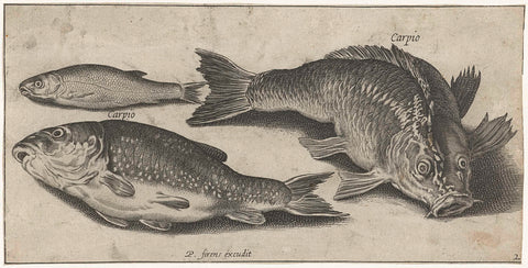 Three carp, Pierre Firens, 1600 - 1638 Canvas Print