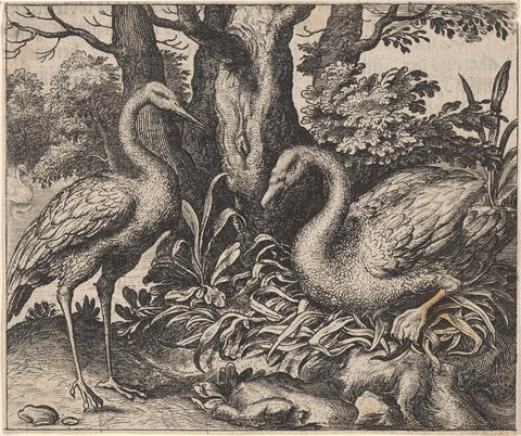 Fable of the swan and the stork, Aegidius Sadeler, 1608 Canvas Print