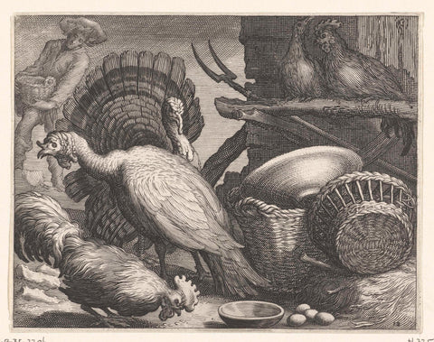 Chickens and turkeys, Boëtius Adamsz. Bolswert, 1611 Canvas Print