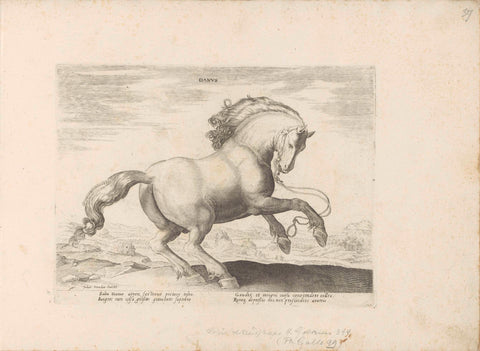 Horse from Denmark, anonymous, 1624 - before 1648 Canvas Print