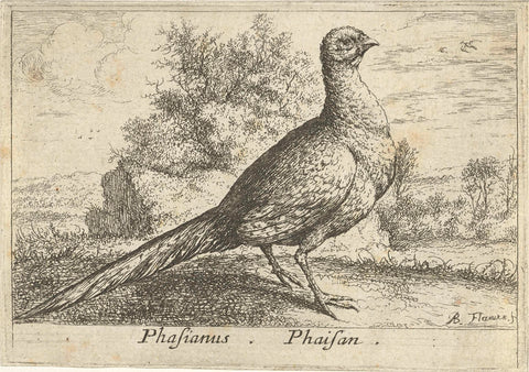 Landscape with Pheasant, Albert Flamen, 1659 Canvas Print