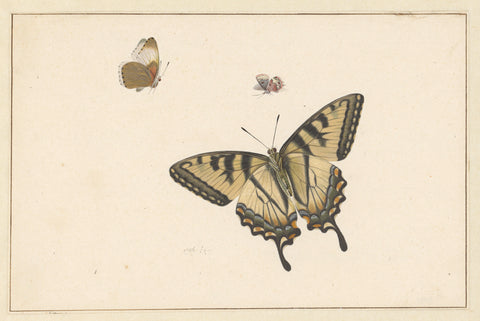 Three Butterflies, Herman Henstenburgh, c. 1683 - c. 1726 Canvas Print