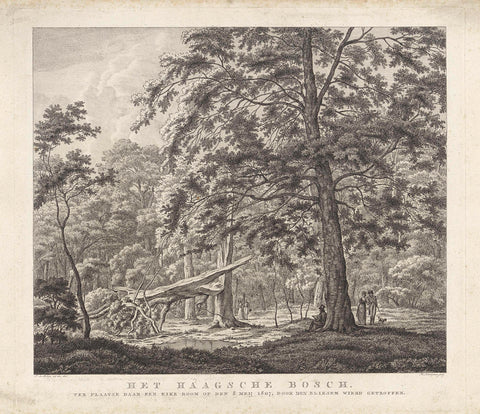 Tree struck by lightning in the Haagse Bos, Hendrik Schwegman, 1807 Canvas Print