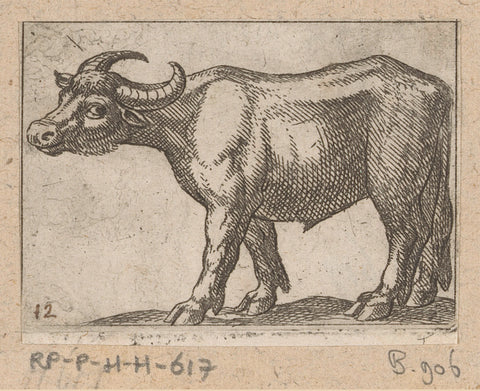 Standing bull to the left, Antonio Tempesta, 1565 - 1630 Canvas Print