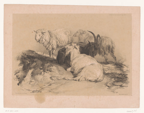 Study of sheep and goats, Pierre Frédéric Lehnert, 1838 - 1840 Canvas Print