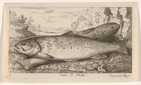 Two trout on a riverbank, Albert Flamen, 1664 Canvas Print