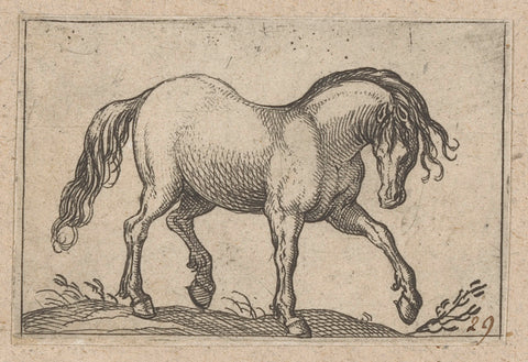 Horse walking to the right, Antonio Tempesta, 1565 - 1630 Canvas Print