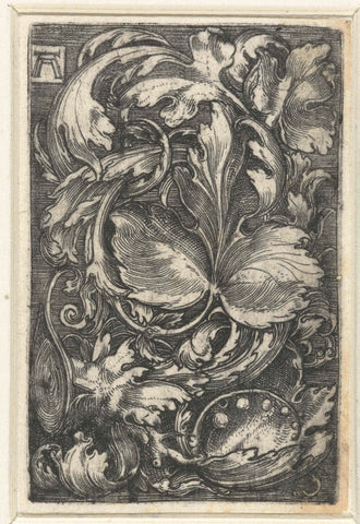 Ornament met bladranken, Albrecht Altdorfer, c. 1506 - 1538 Canvas Print