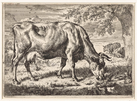 Grazing cow and two sheep, Adriaen van de Velde, 1670 Canvas Print