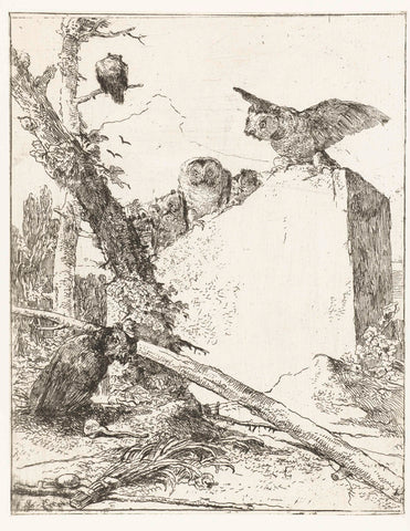 Title print for Scherzi di fantasia with owls at a stone, Giovanni Battista Tiepolo, in or before c. 1750 - in or before c. 1762 Canvas Print