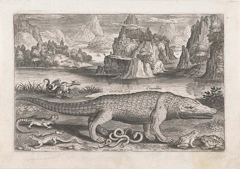 Some reptiles and amphibians on a shore, Adriaen Collaert, after 1598 - 1618 Canvas Print