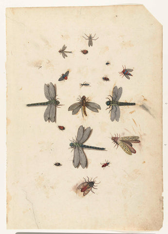 Dragonflies and flying Insects, Lambert Lombard, c. 1560 Canvas Print