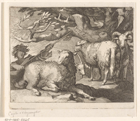 Shepherd with sheep, Boëtius Adamsz. Bolswert, 1611 - 1661 Canvas Print