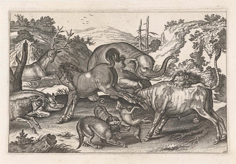 Fighting animals, Adriaen Collaert, 1628 - 1679 Canvas Print