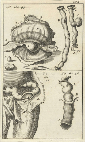 Anatomical image XIX, Jan Luyken, 1680 - 1688 Canvas Print