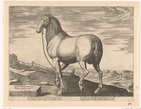 Paard uit Corsica, Hendrick Goltzius (possibly), c. 1578 - c. 1580 Canvas Print