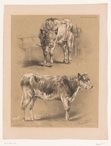 Twee studies van een rund, Pierre Frédéric Lehnert, 1838 - 1840 Canvas Print