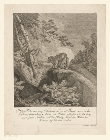 Fox with two tails, Johann Elias Ridinger, 1744 Canvas Print