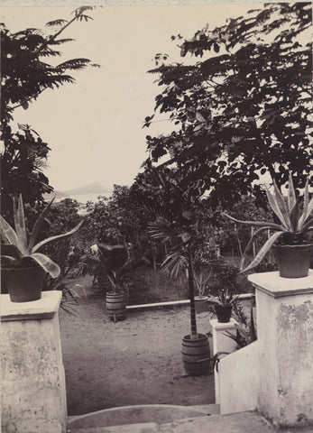 Garden on in Willemstad on Curaçao, Andries Augustus Boom, 1911 Canvas Print