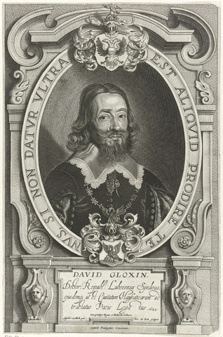 Portrait of David Gloxin, Pieter de Jode (II), 1649 Canvas Print