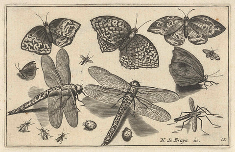 Butterflies and dragonflies, Nicolaes de Bruyn, 1594 - 1644 Canvas Print