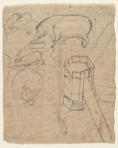 Some studies of boars, a peacock, a parrot and a tower, anonymous, 1800 - 1900 Canvas Print