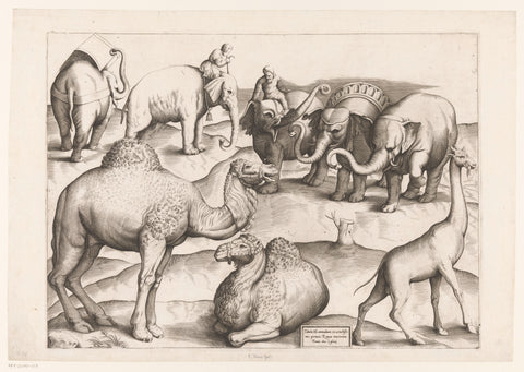 Eight animals, Enea Vico (attributed to), 1547 - 1577 Canvas Print